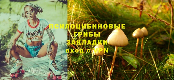 твердый Алексеевка